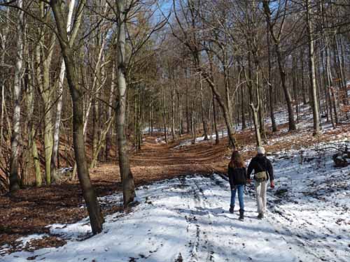 Burg-Hanstein-130401-180