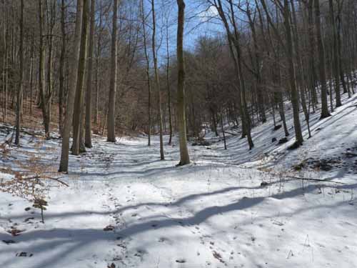 Burg-Hanstein-130401-182