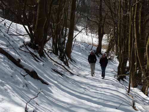 Burg-Hanstein-130401-221