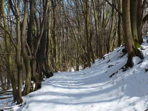 Burg-Hanstein-130401-223