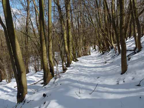 Burg-Hanstein-130401-224