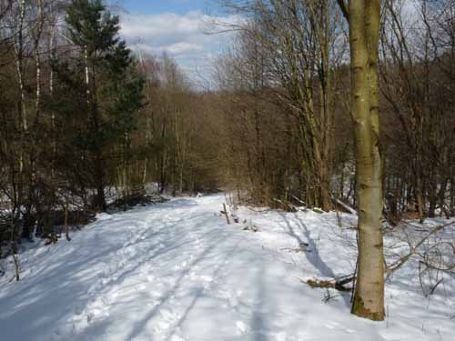 Burg-Hanstein-130401-264