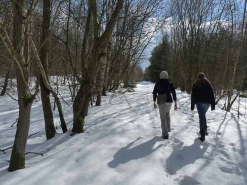 Burg-Hanstein-130401-265