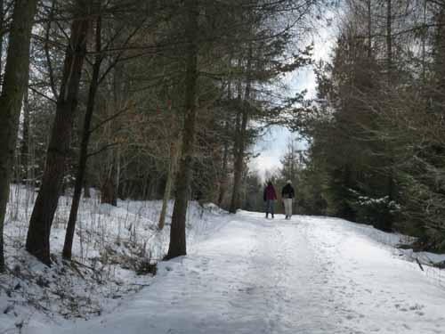 Burg-Hanstein-130401-271