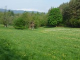 04-Werleshausen-Hanstein-Teufelskanzel-Allendorf-013