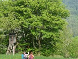 04-Werleshausen-Hanstein-Teufelskanzel-Allendorf-033