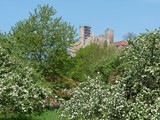 04-Werleshausen-Hanstein-Teufelskanzel-Allendorf-038