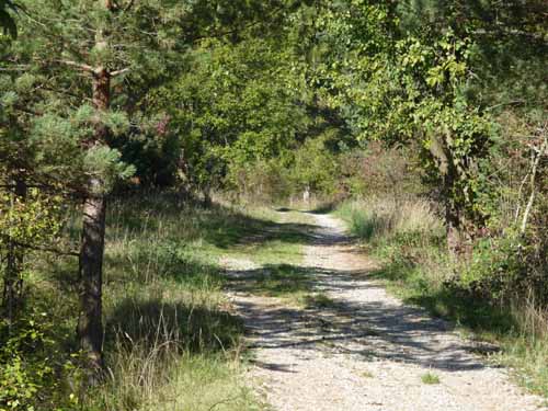 Radwege in Nordhesser