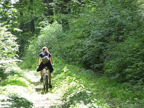 Radfahren im Meißner - Kaufunger Wald
