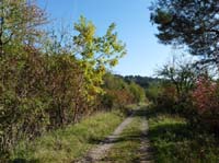 Dieteroeder_Klippen-111015-020