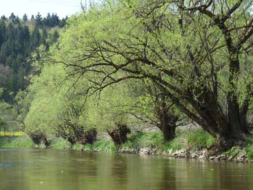 Altmuehl_Weissenburg_134