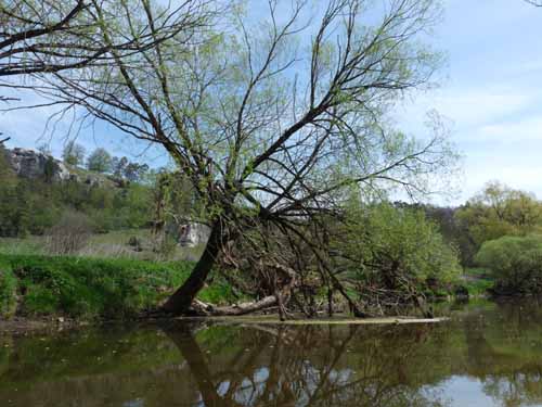 Altmuehl_Weissenburg_135