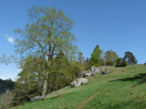 Altmuehl_Weissenburg_200