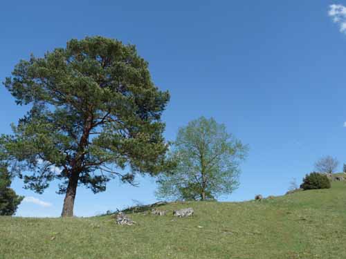 Altmuehl_Weissenburg_203