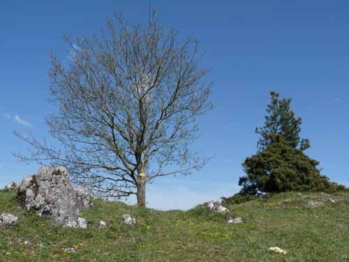 Altmuehl_Weissenburg_204