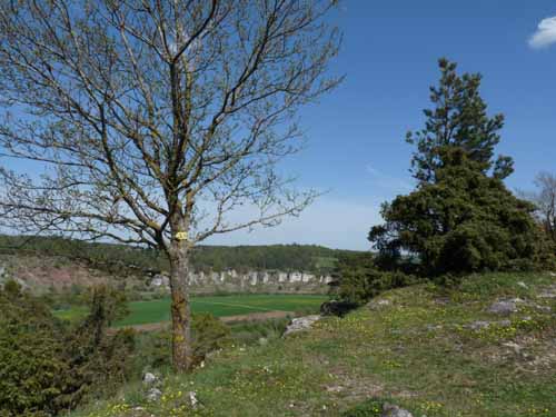 Altmuehl_Weissenburg_205