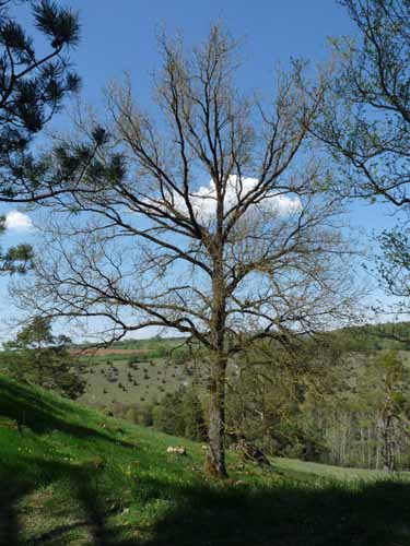 Altmuehl_Weissenburg_212