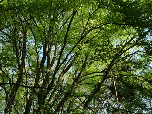 Altmuehl_Weissenburg_214