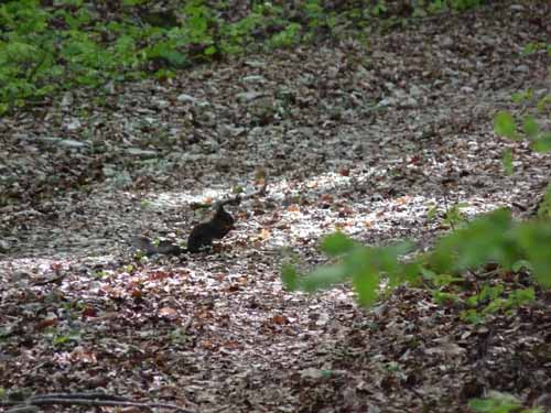 Altmuehl_Weissenburg_216