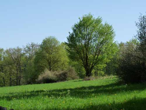 Altmuehl_Weissenburg_219