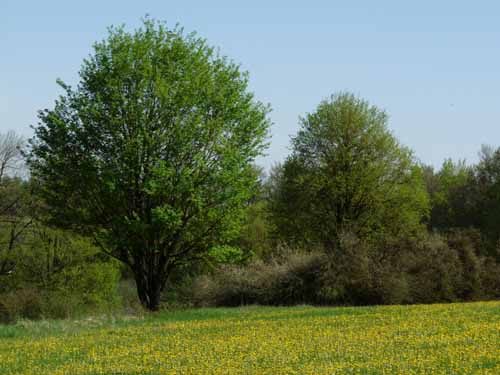 Altmuehl_Weissenburg_221