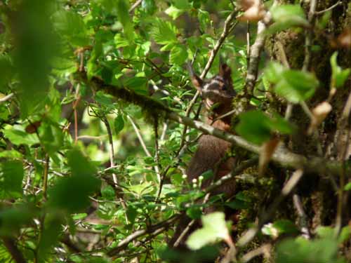 Altmuehl_Weissenburg_223