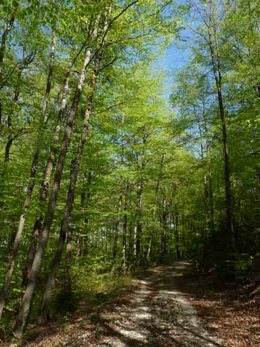 Altmuehl_Weissenburg_225