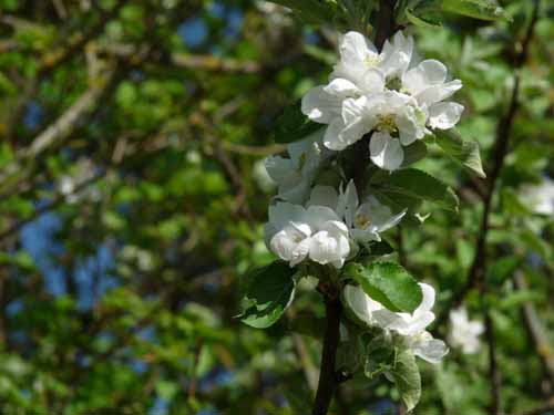 Altmuehl_Weissenburg_230