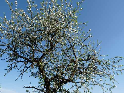 Altmuehl_Weissenburg_238