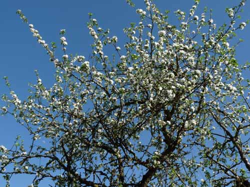 Altmuehl_Weissenburg_239