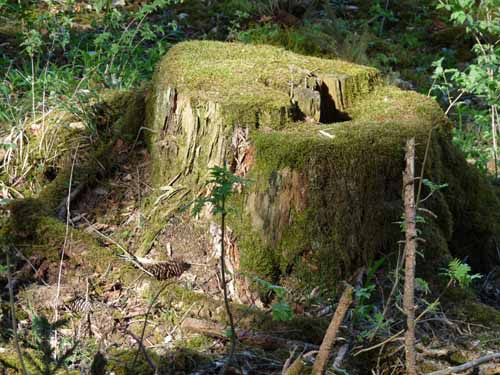 Altmuehl_Weissenburg_240