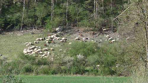 Altmuehl_Weissenburg_250