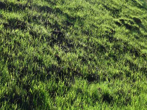 Altmuehl_Weissenburg_251