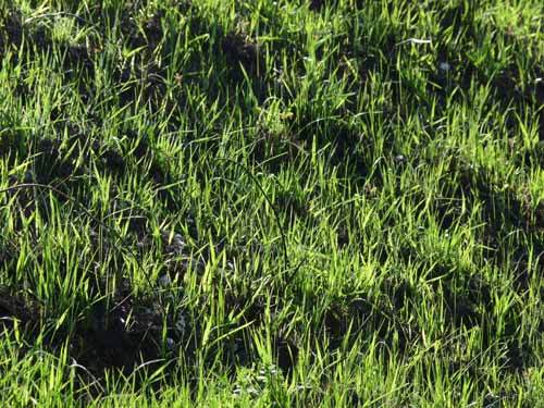 Altmuehl_Weissenburg_252