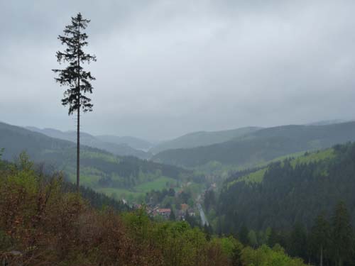 03-Hans-Kuehnen-Burg-001