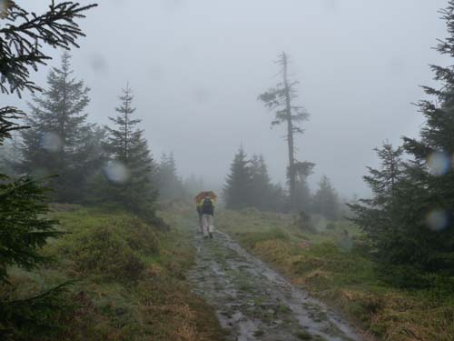 03-Hans-Kuehnen-Burg-005