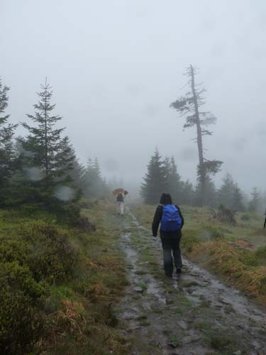 03-Hans-Kuehnen-Burg-007