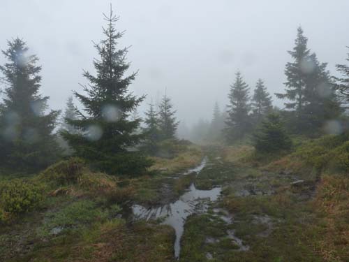 03-Hans-Kuehnen-Burg-008