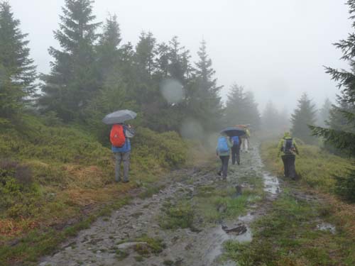 03-Hans-Kuehnen-Burg-009