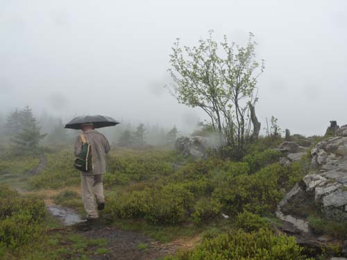 03-Hans-Kuehnen-Burg-011