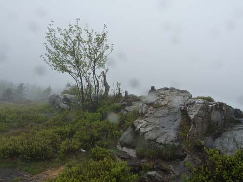 03-Hans-Kuehnen-Burg-012