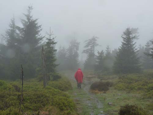 03-Hans-Kuehnen-Burg-013