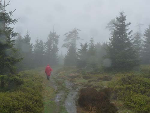 03-Hans-Kuehnen-Burg-014