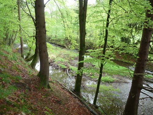 03-Hans-Kuehnen-Burg-019