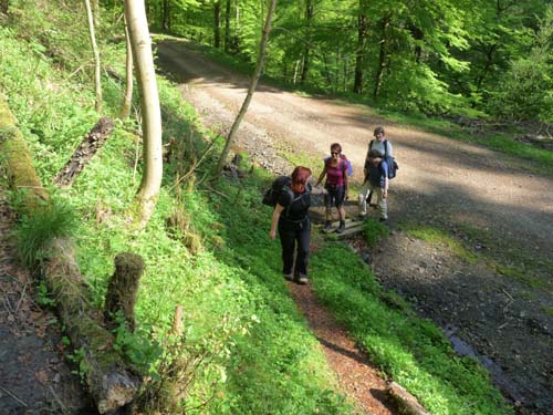 06-Sieber-Baudensteig-Bad-Lauterberg-007