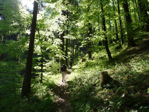 06-Sieber-Baudensteig-Bad-Lauterberg-008