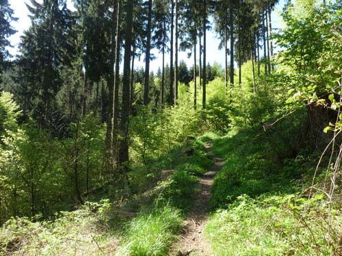 06-Sieber-Baudensteig-Bad-Lauterberg-009