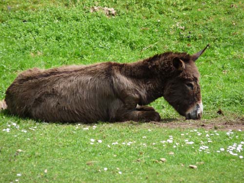 06-Sieber-Baudensteig-Bad-Lauterberg-045