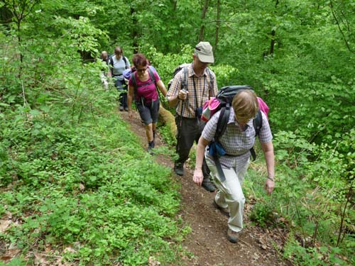 Wandern im Harz