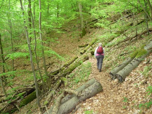 06-Sieber-Baudensteig-Bad-Lauterberg-053